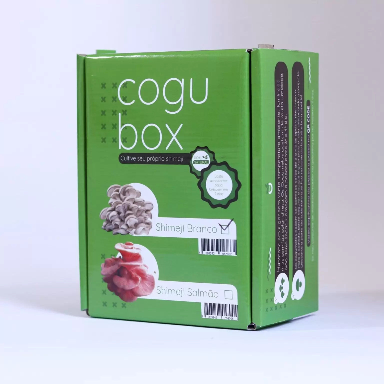 Cogubox 【cogitoergosum様】おまとめページ^o^ Shimeji Hoortech - Salmão コレクション